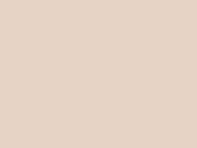 Грунтовочная краска Decorazza Fiora (Фиора) в цвете FR 10-13